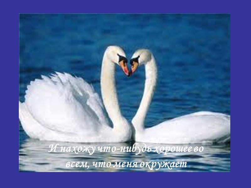 И нахожу что-нибудь хорошее во всем, что меня окружает